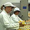 UNSER TÄGLICH BROT